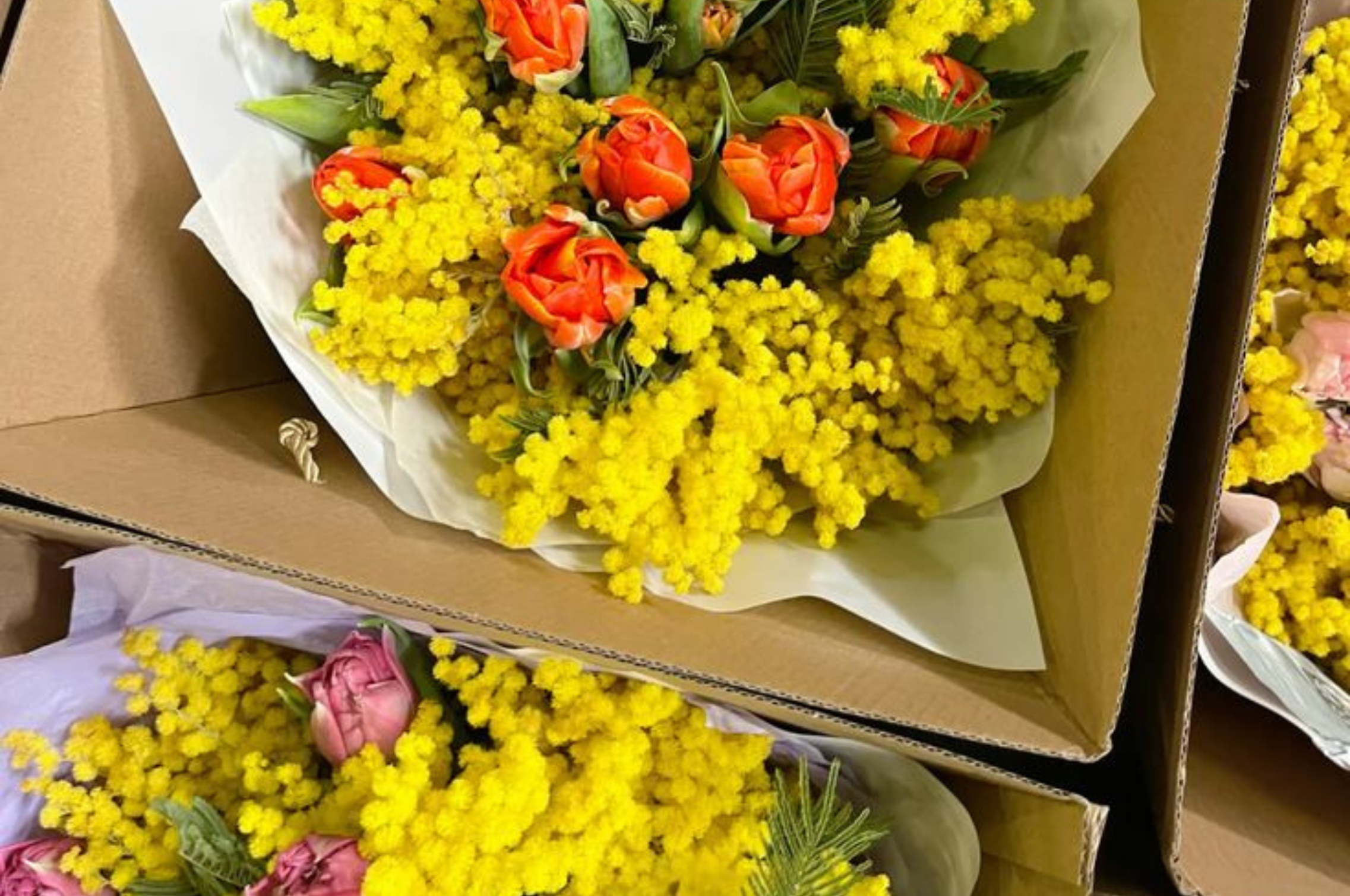 Women, Rosacea, and the Strength Behind Sensitive Skin